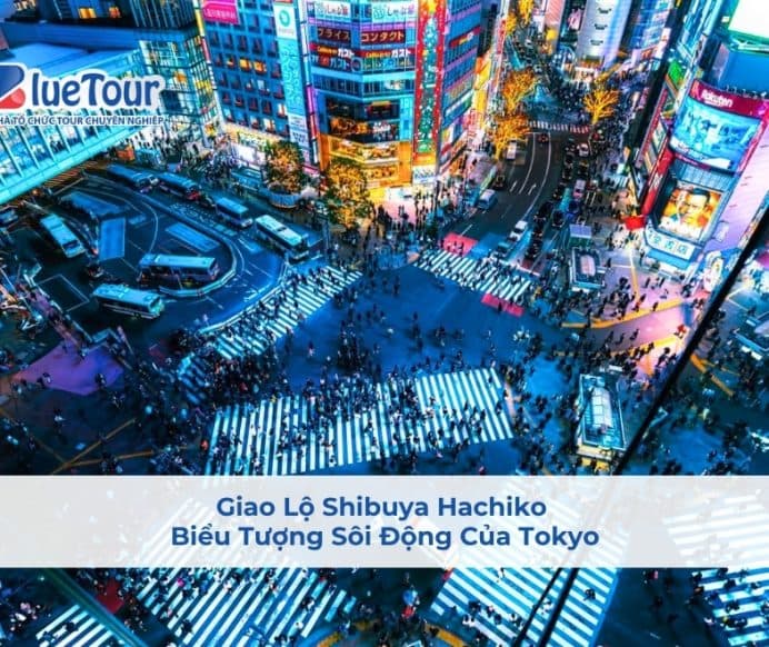 Giao Lộ Shibuya Hachiko – Biểu Tượng Sôi Động Của Tokyo
